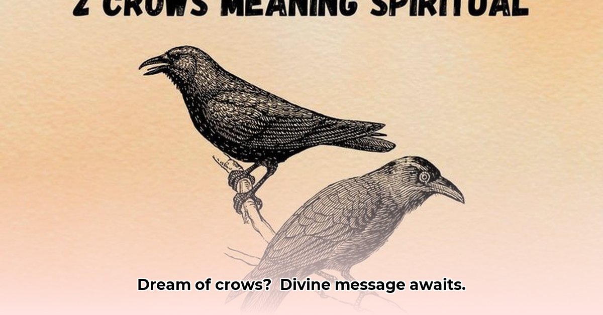 biblical-meaning-of-crows-in-a-dream